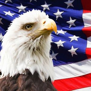 Meet your Posher, Dan